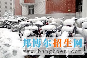 合肥工業(yè)大學冬4137