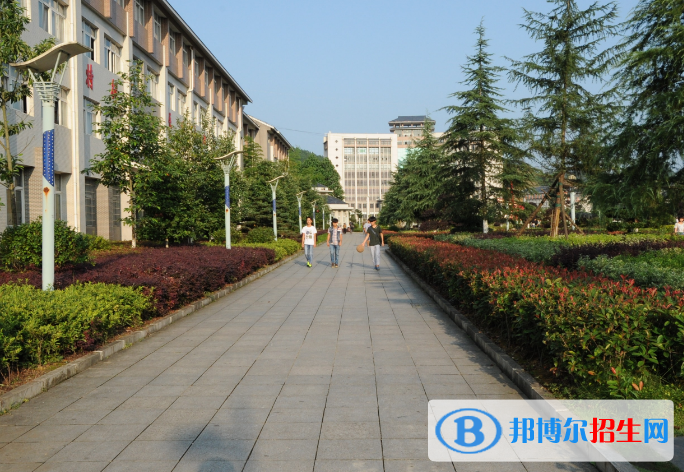 湘西民族職業(yè)技術學院2019年單招錄取分數(shù)線