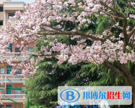 安順第三高級中學2019年報名條件、招生要求、招生對象