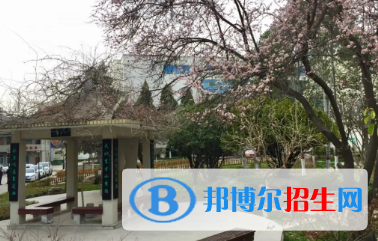 成縣職業(yè)中等專業(yè)學(xué)校2020年報(bào)名條件、招生要求、招生對(duì)象