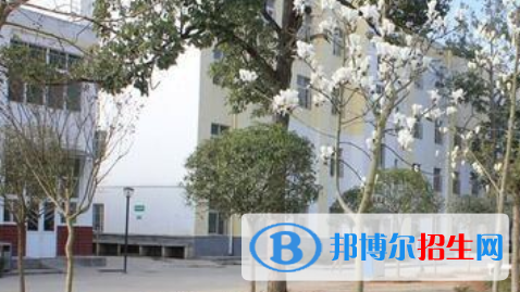 劍閣縣武連職業(yè)中學怎么樣、好不好