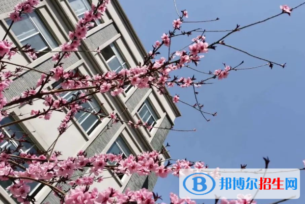 南京寧海中學2023年報名條件、招生要求、招生對象 