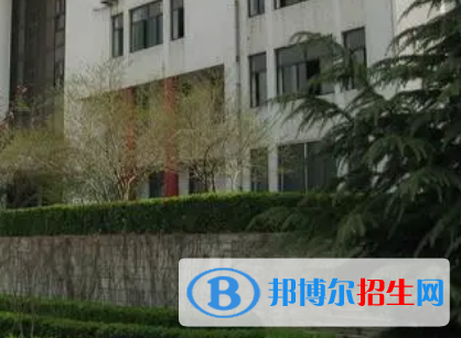 2023臨沂有哪些?？茖W(xué)校