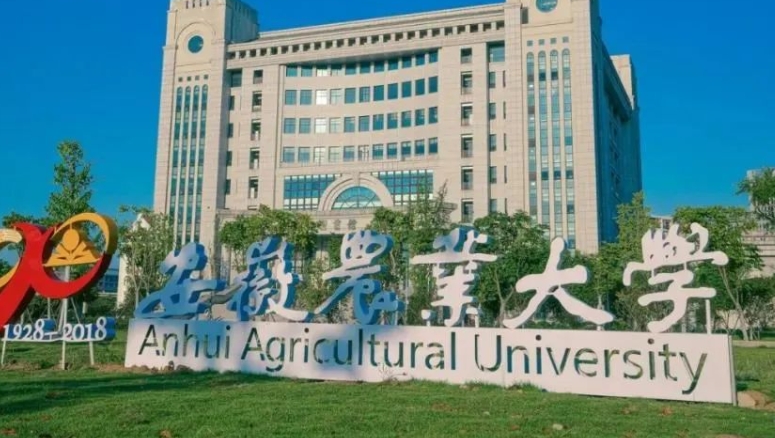 2023安徽農(nóng)業(yè)大學(xué)高考錄取分?jǐn)?shù)線是多少（2024參考）