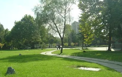 數(shù)字媒體技術(shù)專業(yè)適合女生嗎？就業(yè)方向有哪些？