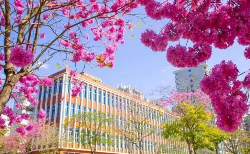 2024廣州涉外經(jīng)濟職業(yè)技術(shù)學(xué)院中職部招生計劃 招生人數(shù)是多少(附要求、條件、對象)