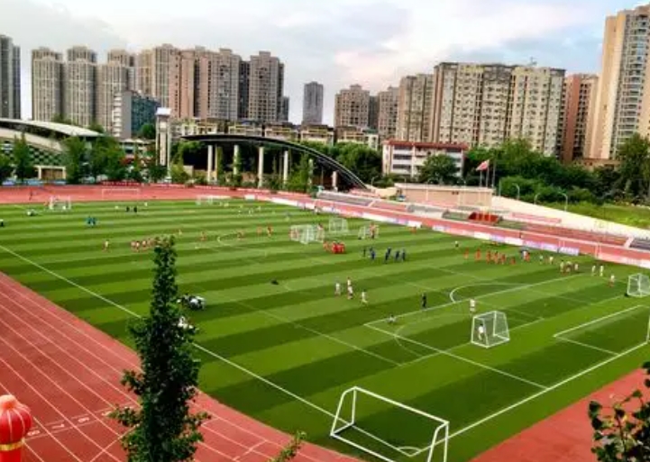 2025成都市青白江區(qū)龍王中學招生計劃 招生人數(shù)是多少(附要求、條件、對象)