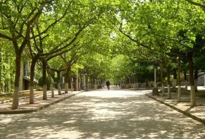 鄱陽衛(wèi)生學校:匠心為你 職引未來