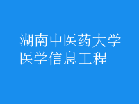 醫(yī)學(xué)信息工程