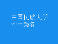 空中乘務