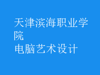 電腦藝術設計