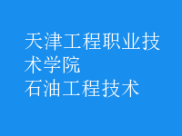 石油工程技術(shù)