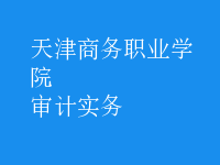 審計實務