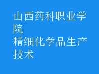 精細化學品生產(chǎn)技術