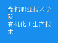 有機化工生產(chǎn)技術