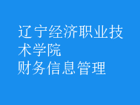 財務(wù)信息管理