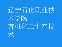 有機化工生產(chǎn)技術