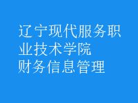財務(wù)信息管理
