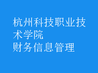 財務(wù)信息管理