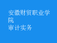 審計實務