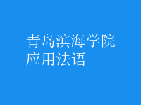 應(yīng)用法語