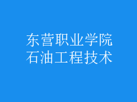 石油工程技術(shù)