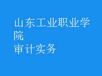 審計實務