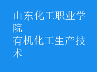 有機化工生產(chǎn)技術