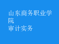 審計實務