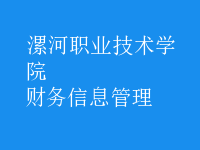 財務(wù)信息管理