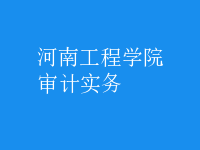 審計實務