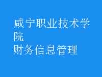 財務(wù)信息管理