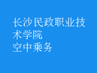 空中乘務
