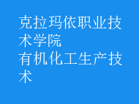 有機化工生產(chǎn)技術