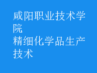 精細化學品生產(chǎn)技術