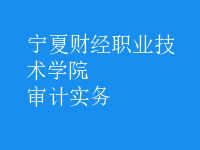 審計實務
