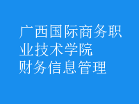 財務(wù)信息管理