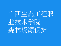 森林資源保護