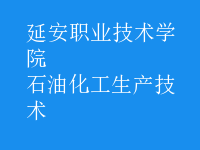 石油化工生產(chǎn)技術