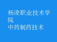 中藥制藥技術