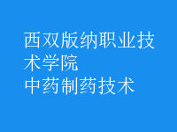 中藥制藥技術