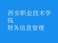 財務(wù)信息管理