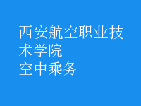 空中乘務
