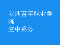 空中乘務