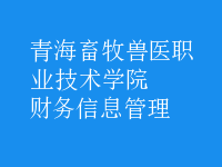 財務(wù)信息管理