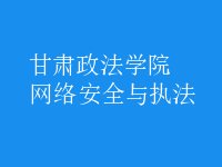 網(wǎng)絡安全與執(zhí)法