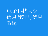 信息管理與信息系統